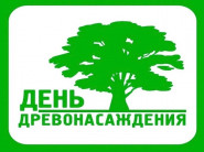 Субботник с ароматом лаванды: как мы сажали красоту